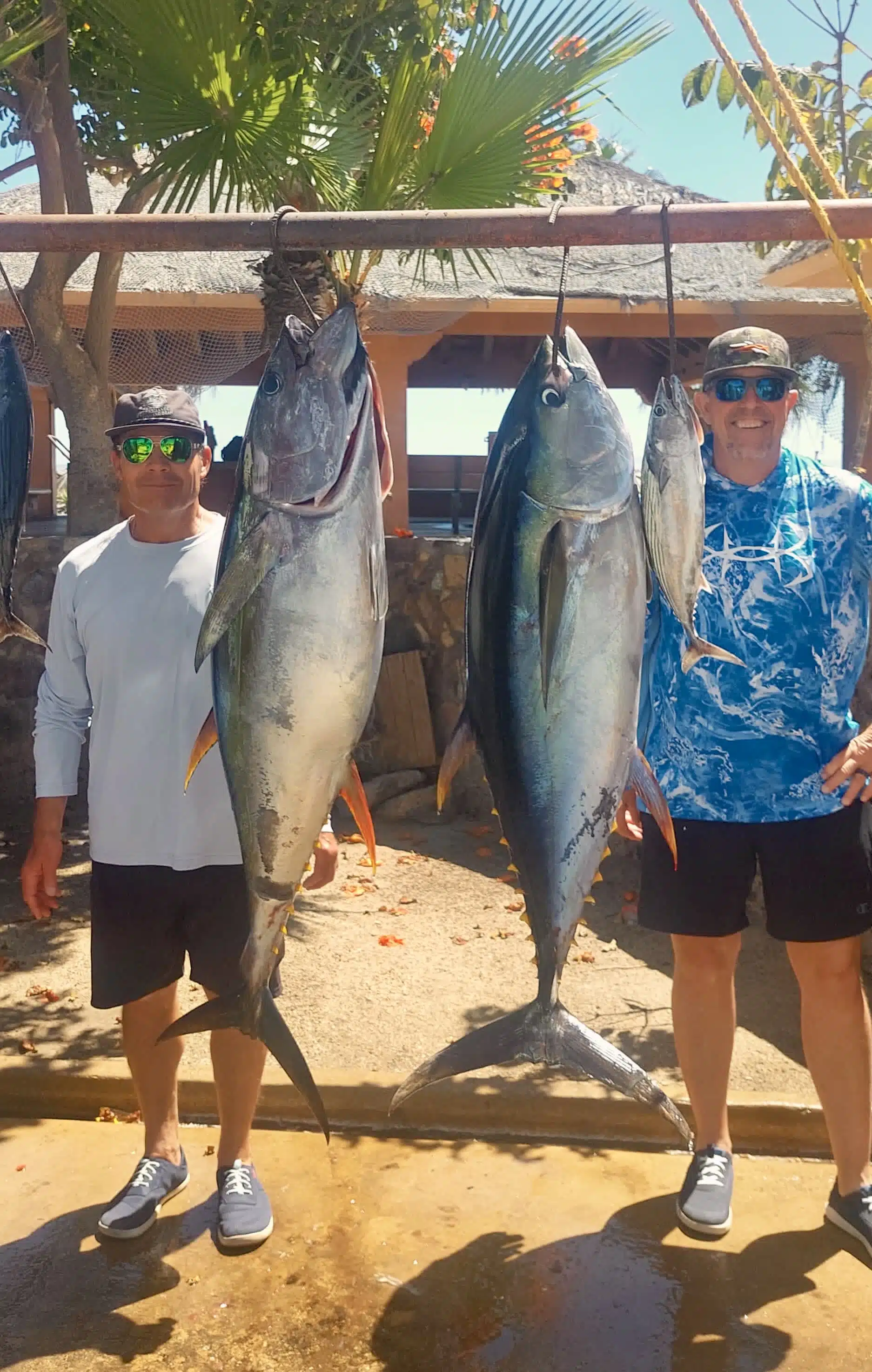 Bottom fishing snapper and grouper Cabo