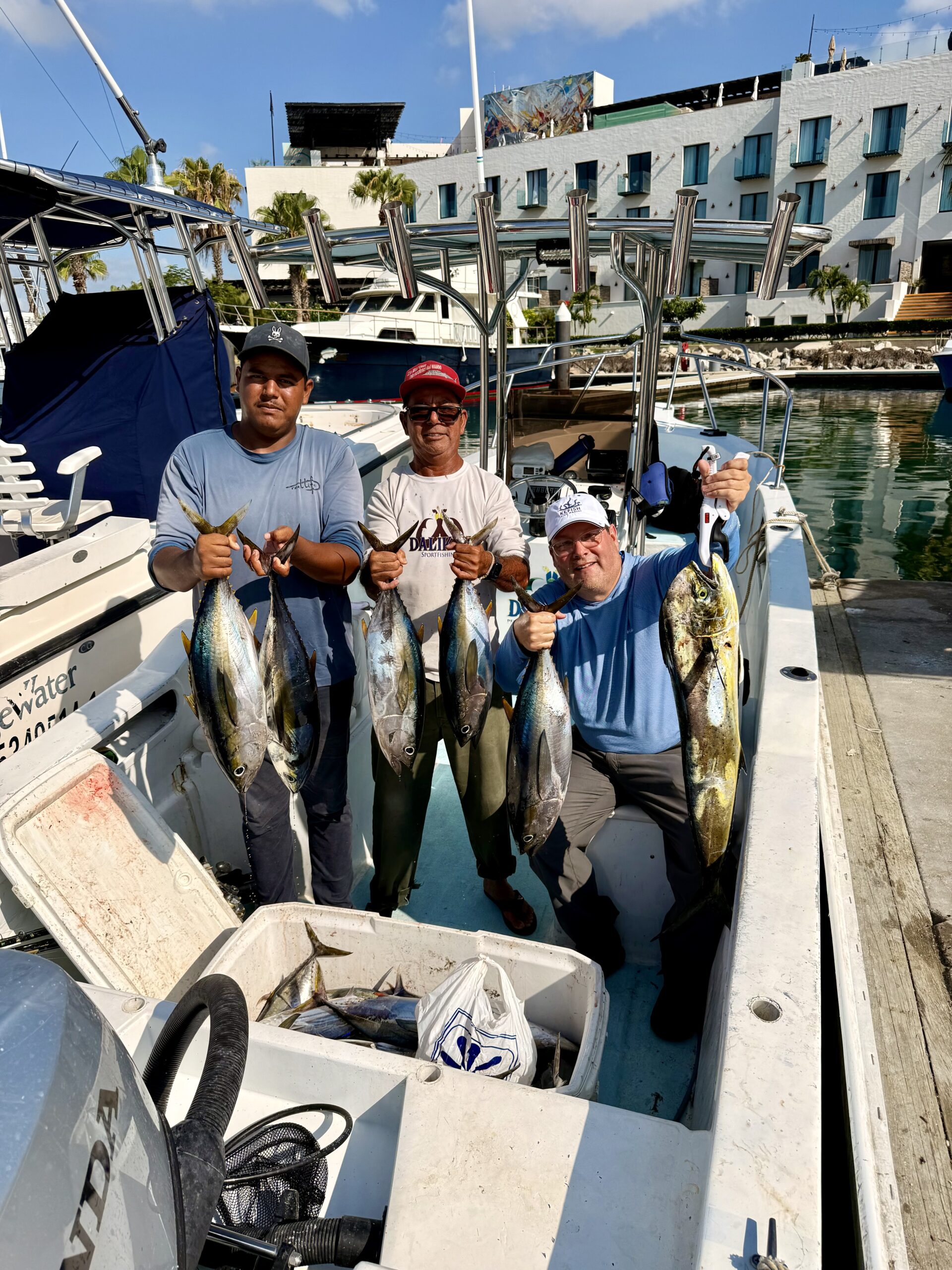 Yellowfin tuna aboard Super Panga 26 ft — fast limits at Gordo Banks with Daliken Sportfishing