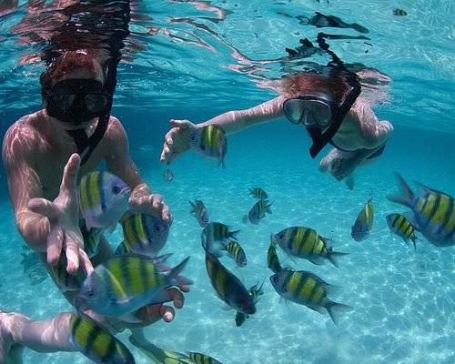 Snorkeling in Santa Maria Bay near San Jose del Cabo clear tropical water