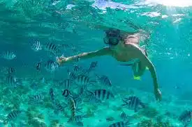 Snorkeler in crystal water on a fishing and snorkeling combo trip Los Cabos