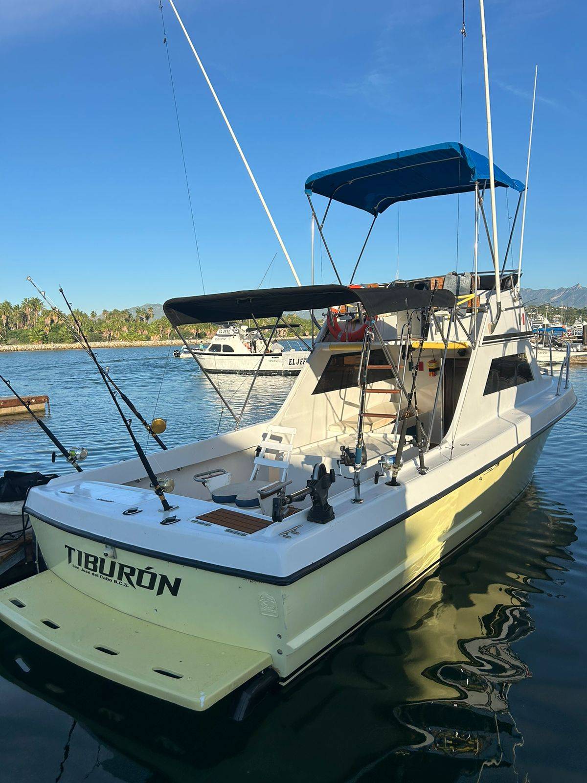 Daliken Tiburon 32ft offshore fishing charter San Jose del Cabo