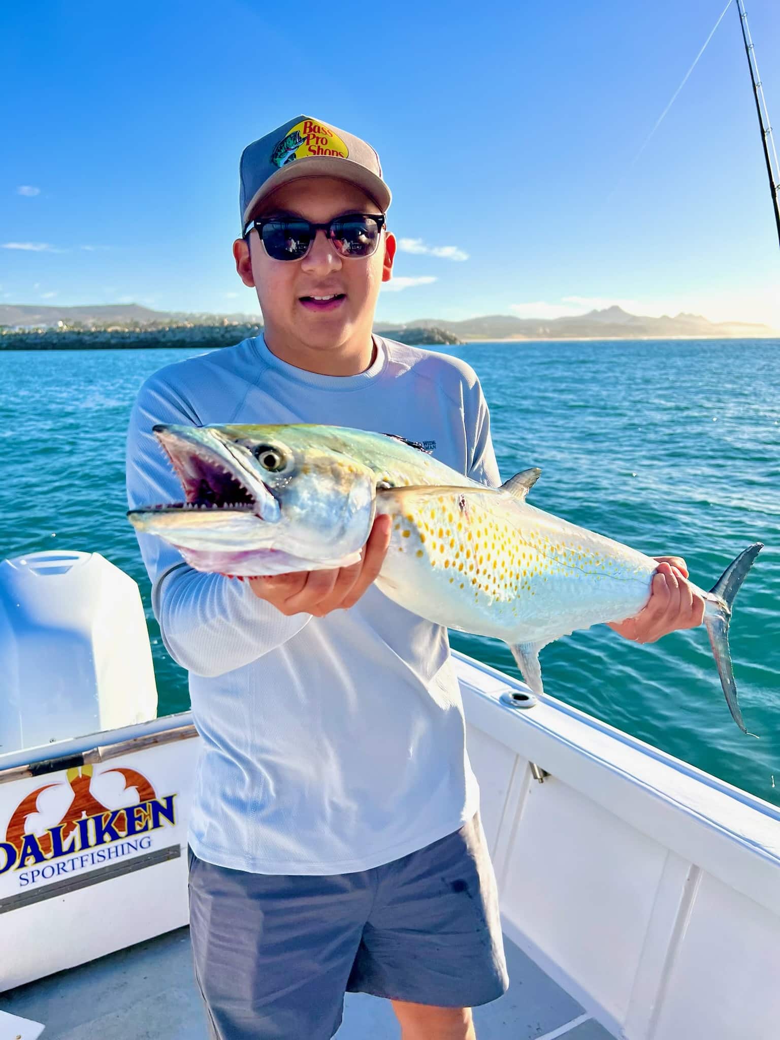 Live sardines being used as bait for sierra mackerel on a Daliken Sportfishing charter in Baja California Sur