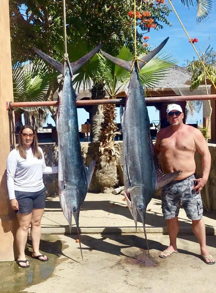 Striped marlin caught in San Jose del Cabo - Daliken Sportfishing