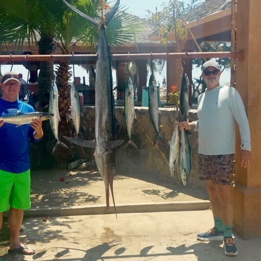 Sierras and Marlin fishing San José del cabo