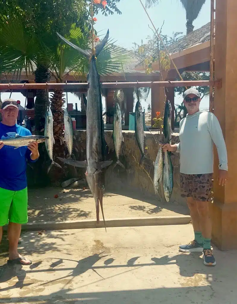Sierras and Marlin fishing San José del cabo