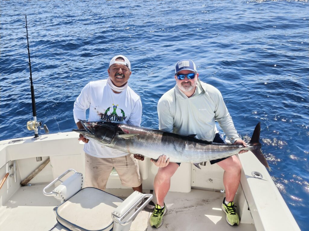 Busy marina in Cabo San Lucas filled with large fishing yachts
