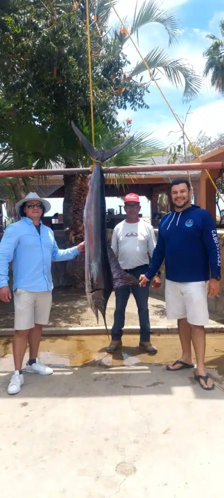 Striped marlin hooked and jumping near Gordo Banks during a fishing charter in San José del Cabo
