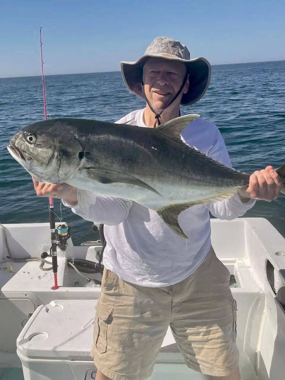 Inshore fishing near Punta Gorda and Palmilla with Daliken Sportfishing