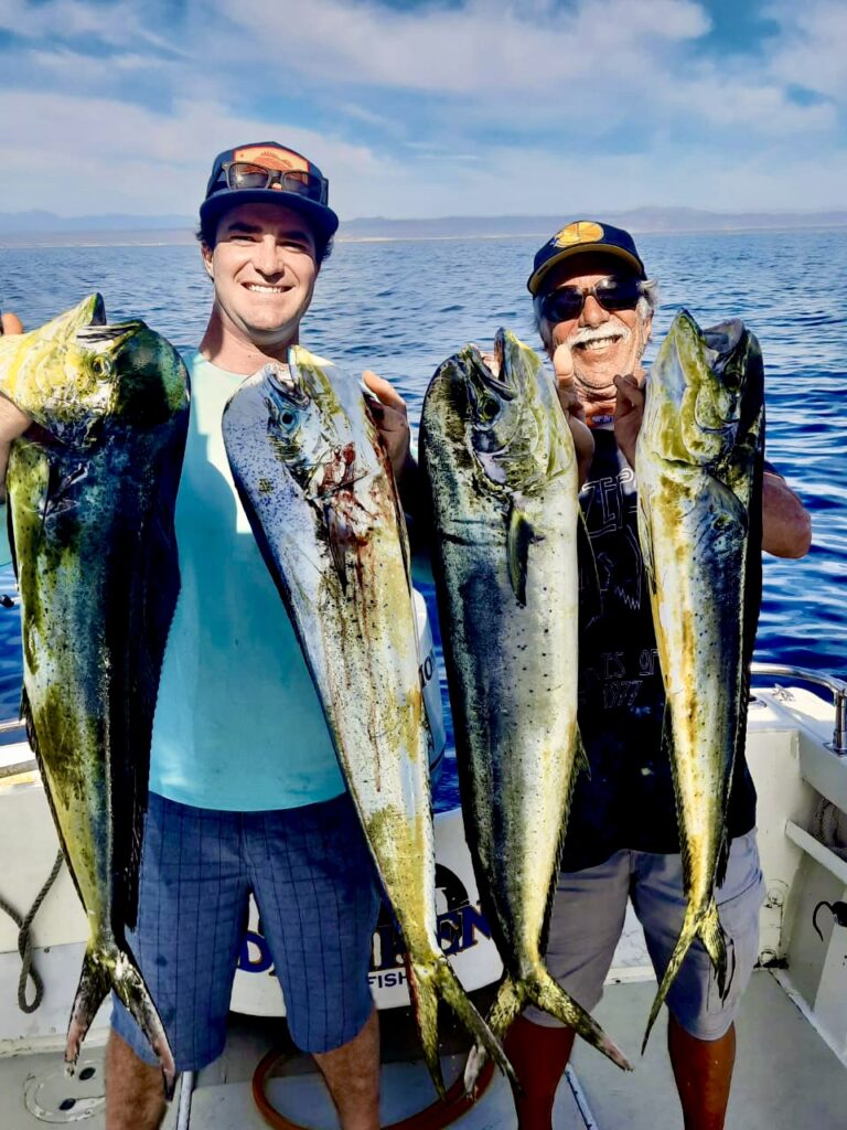 Tuna on ice after offshore fishing near Gordo Banks