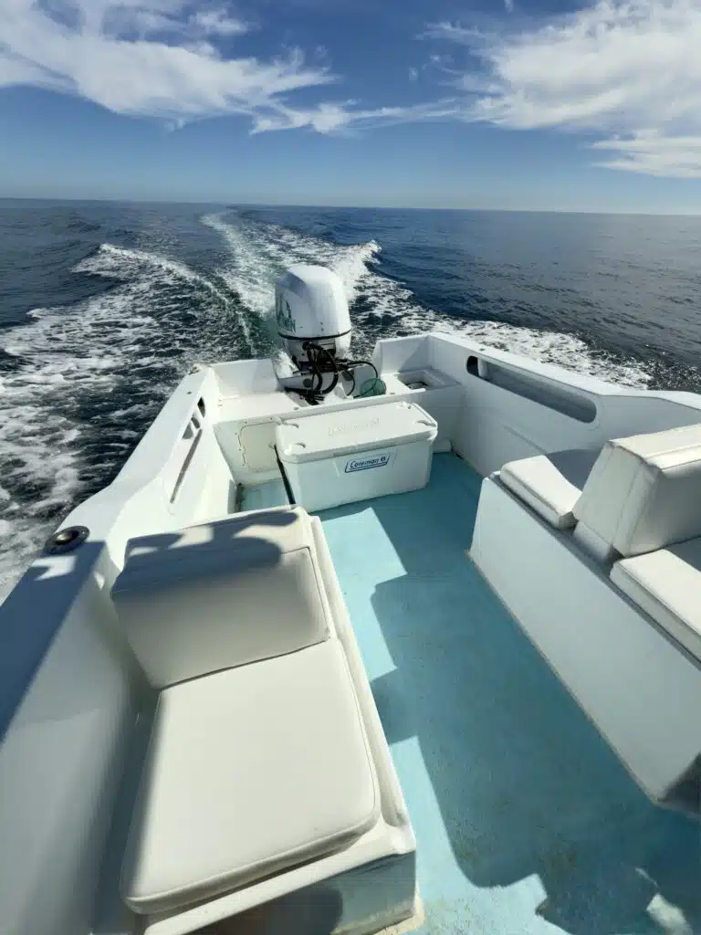 Roosterfish caught aboard 26ft Super Panga near Palmilla San José del Cabo