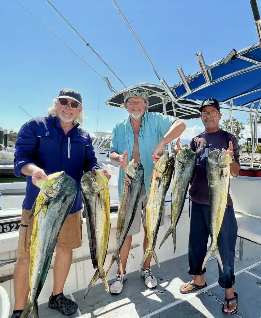 Angler holding a dorado (mahi-mahi) caught in July in San José del Cabo with Daliken Sportfishing