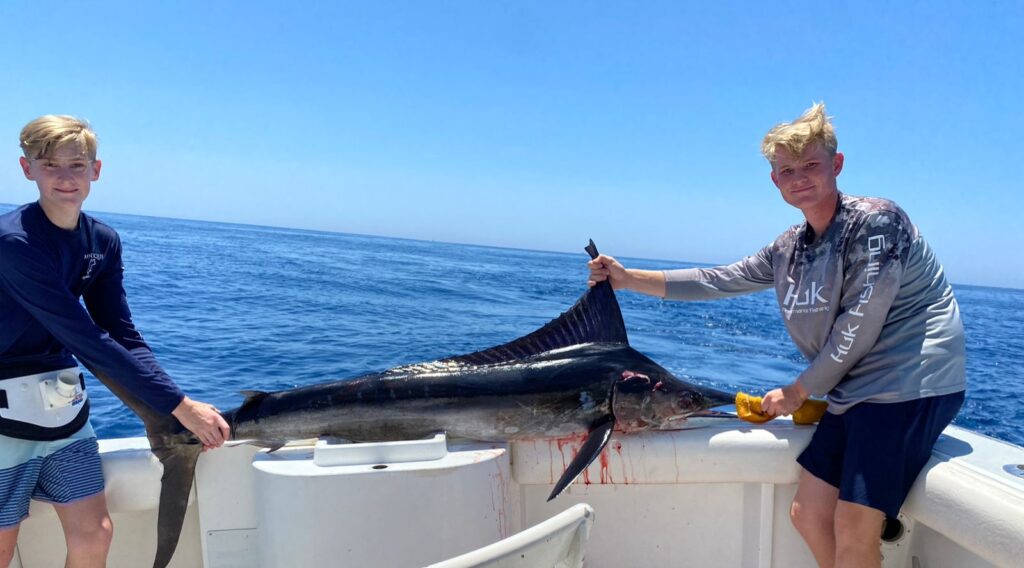 Marlin fish reports San José del cabo