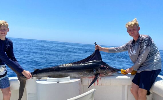 Marlin fish reports San José del cabo