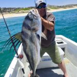 Inshore fishing roosterfish