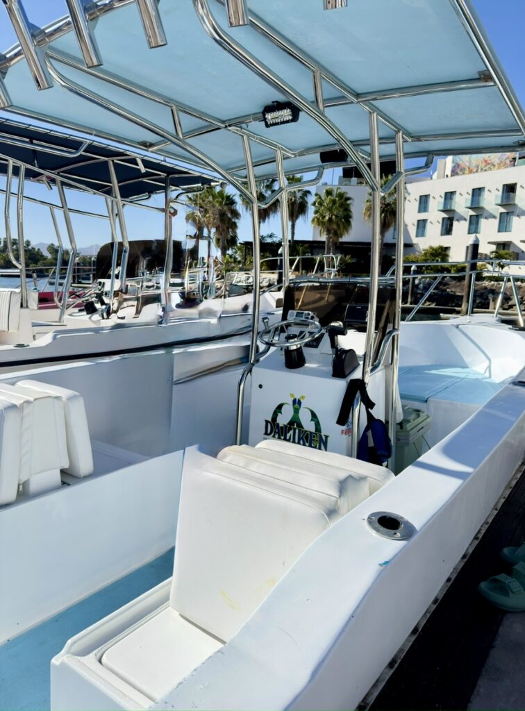 San José del cabo panga fishing