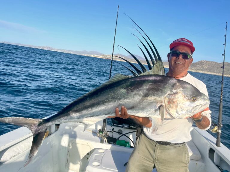 Roosterfish caught near the shore in San José del Cabo using live mullet – summer fishing 2025