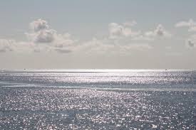 Cloudy but fishable conditions in Los Cabos with the right plan