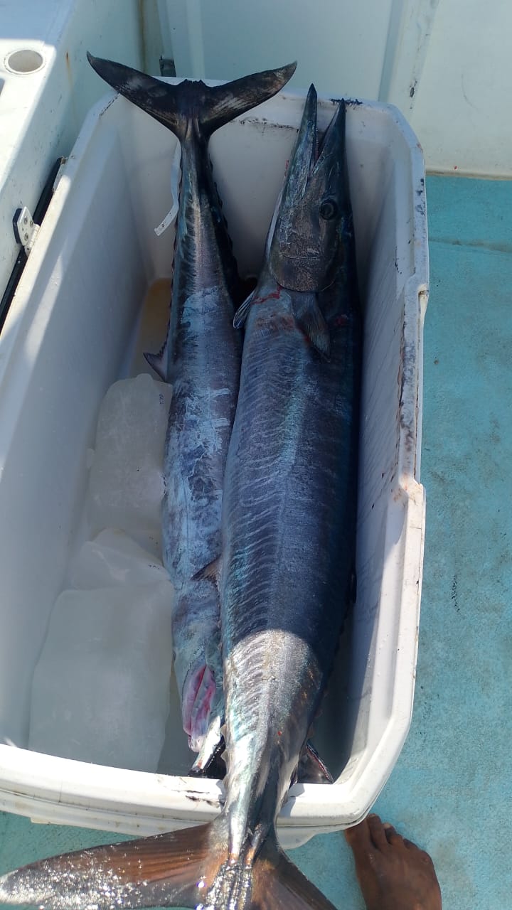Happy group posing with catch at sunset aboard Daliken Sportfishing