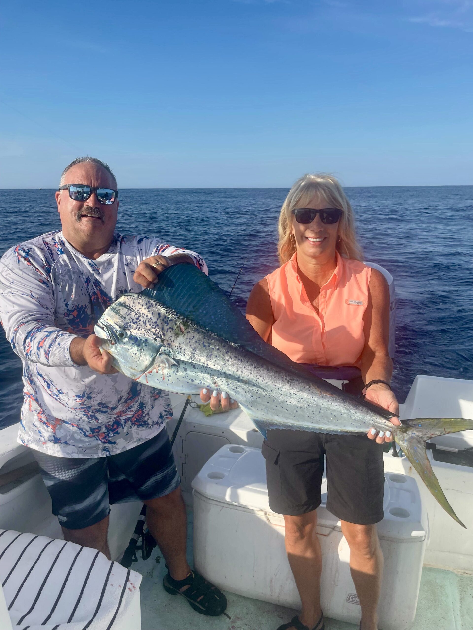 Mahi mahi 15–30 lb at El Cardón, San José del Cabo