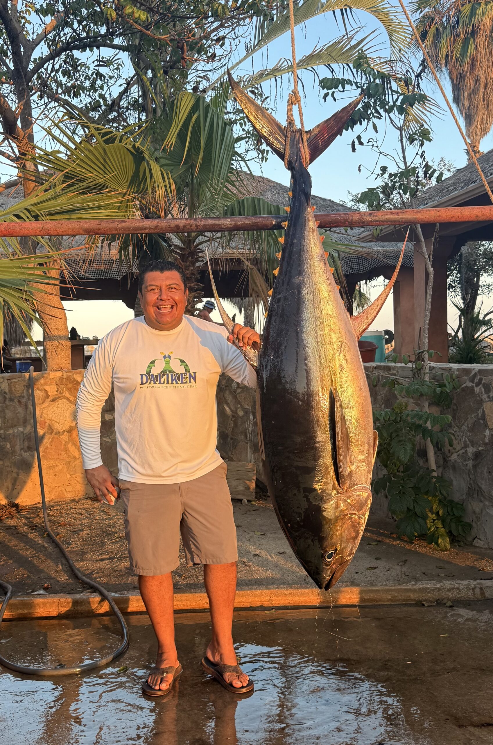 300 lb tuna – Captain Jaime, Daliken Sportfishing