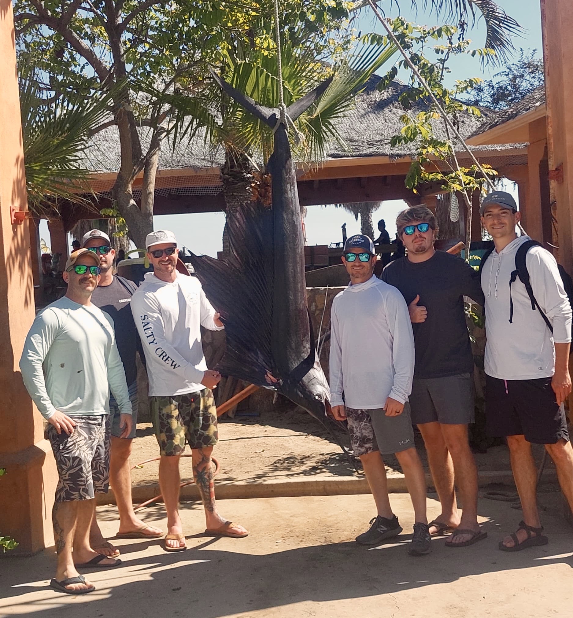 Sailfish release near Gordo Banks with Daliken Sportfishing, San José del Cabo