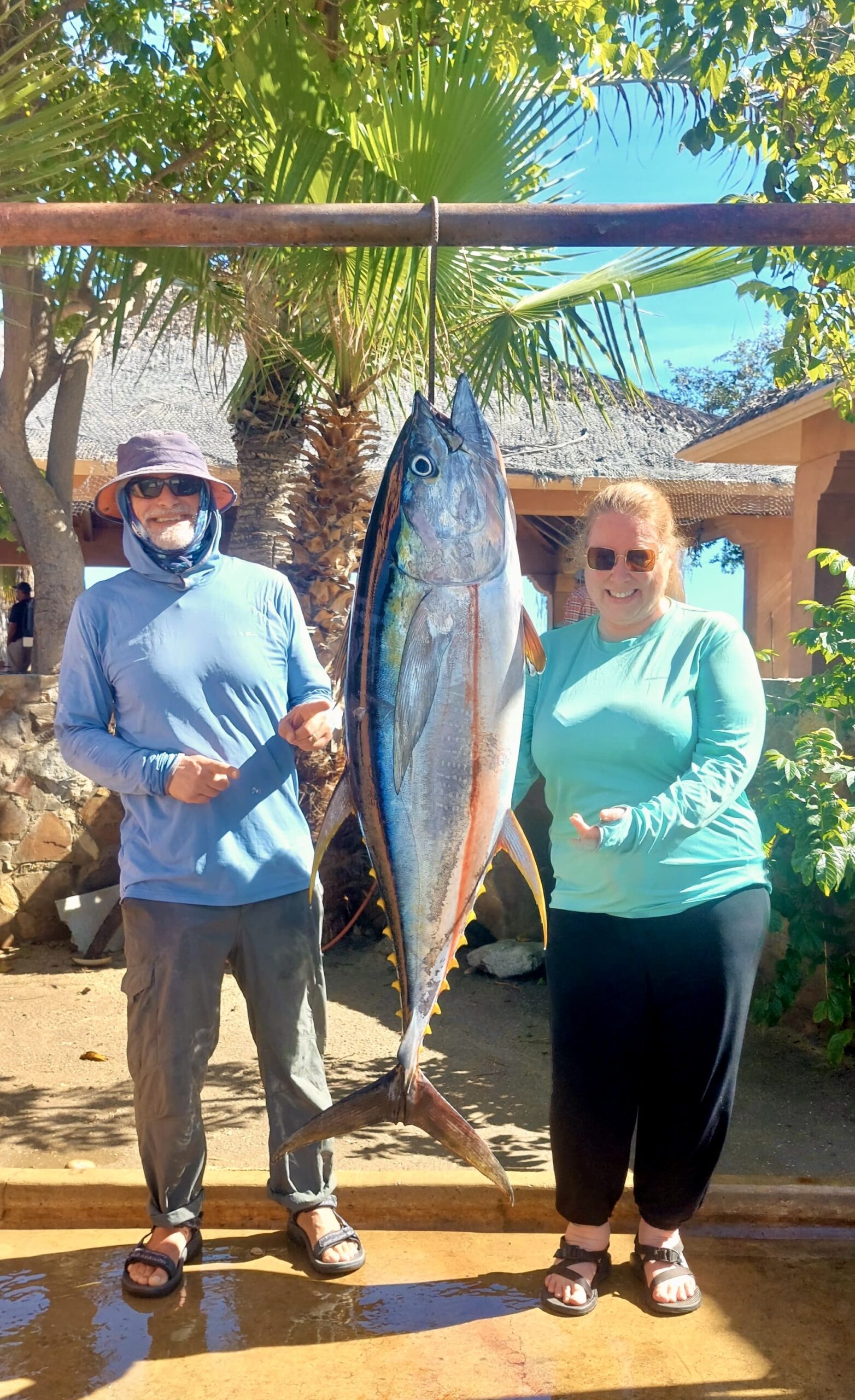 Yellowfin tuna caught with Daliken Sportfishing San José del Cabo