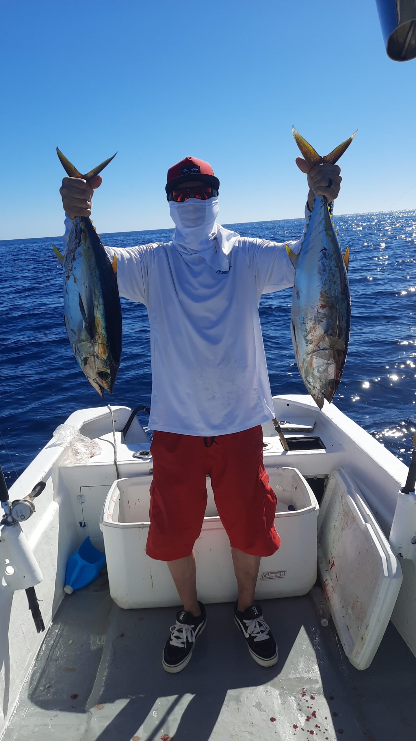 Tuna catch on deck with Daliken Sportfishing crew