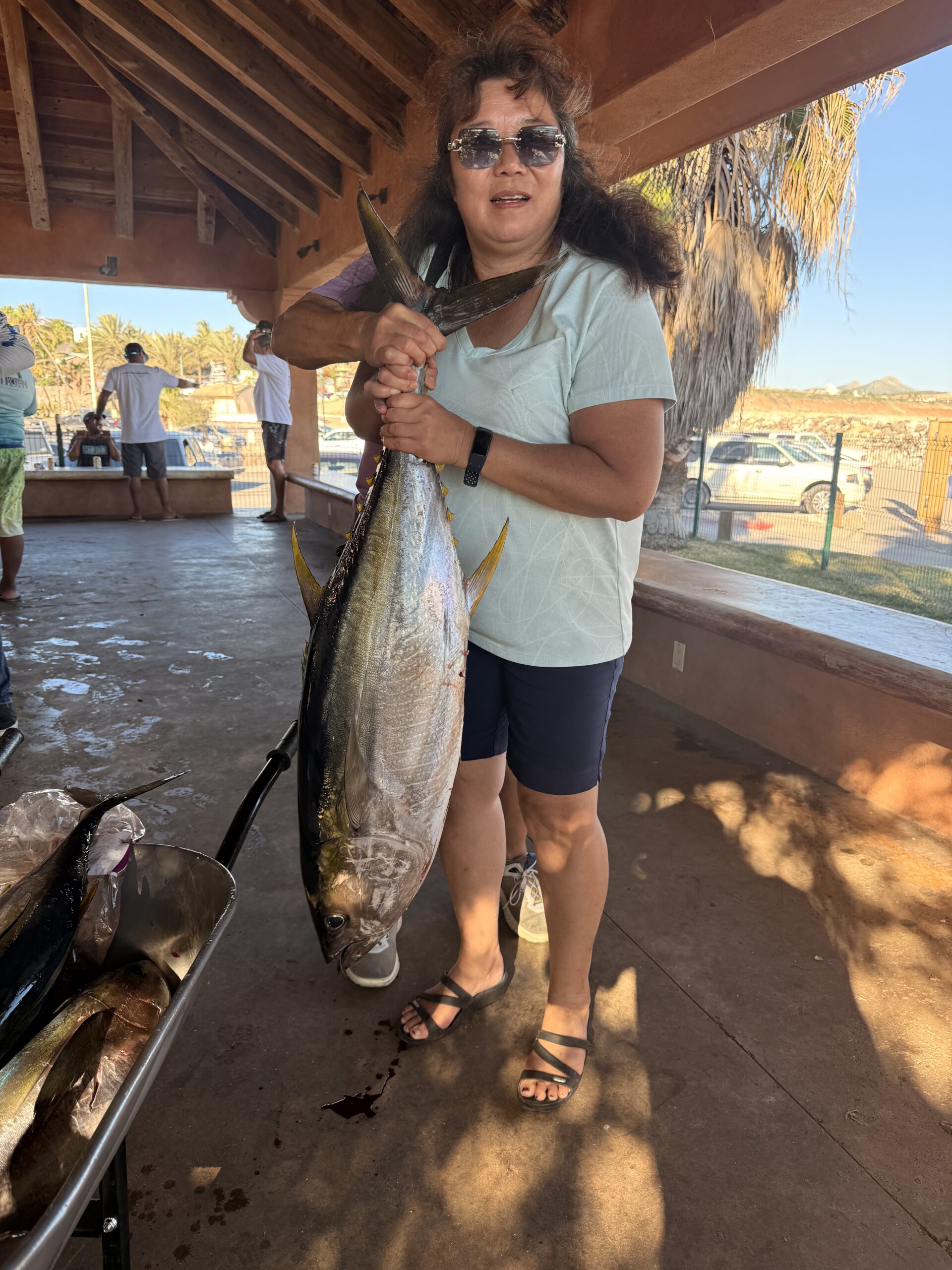 Yellowfin tuna caught on a Daliken Sportfishing charter