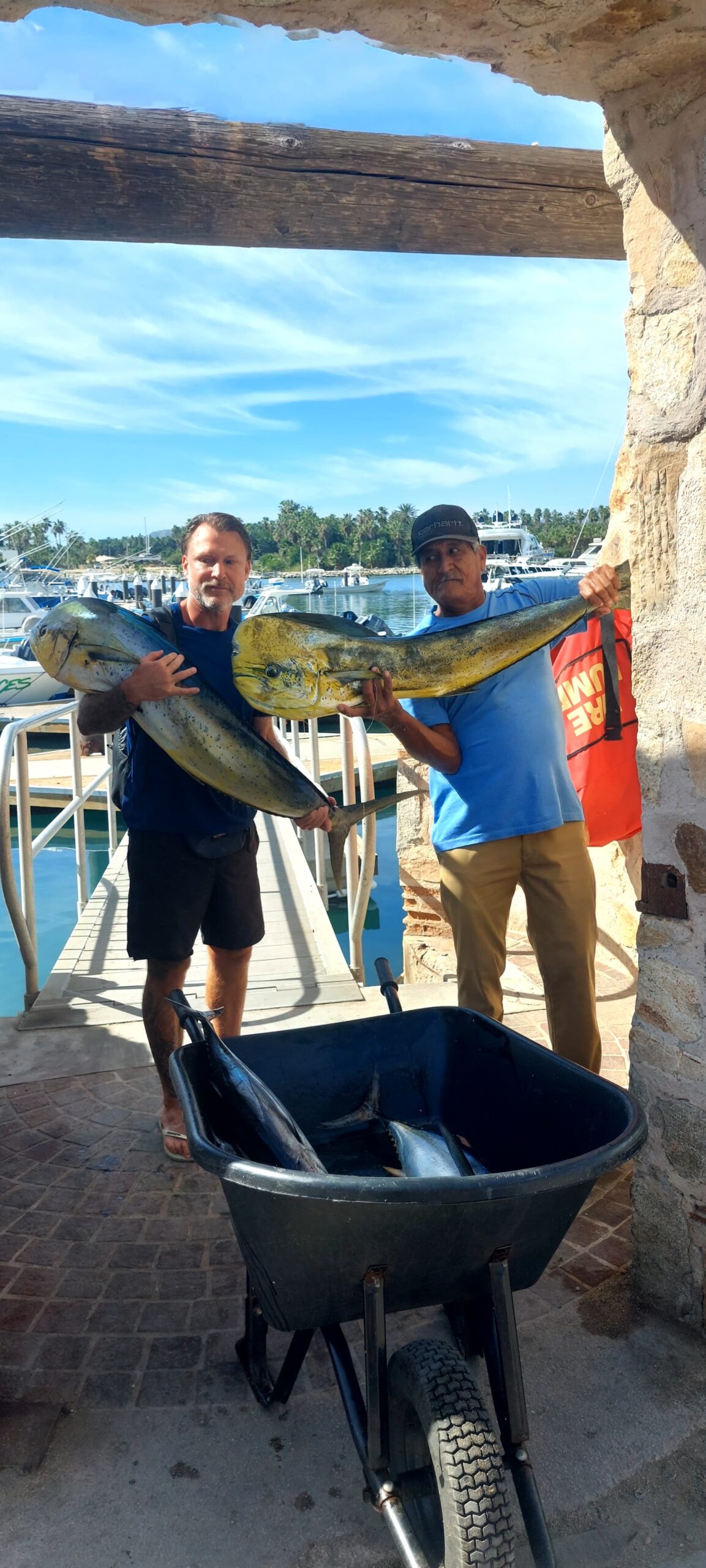 Offshore fishing day in San José del Cabo featuring mahi mahi and wahoo with Daliken Sportfishing charter