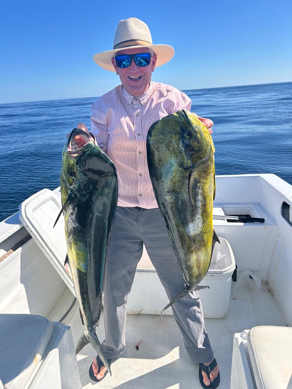 Yellowfin tuna fishing season in Los Cabos