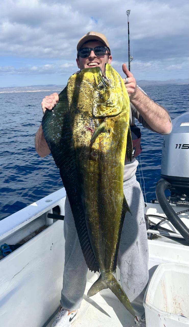 Client catch photo from Daliken Sportfishing showing productive spring fishing in San Jose del Cabo