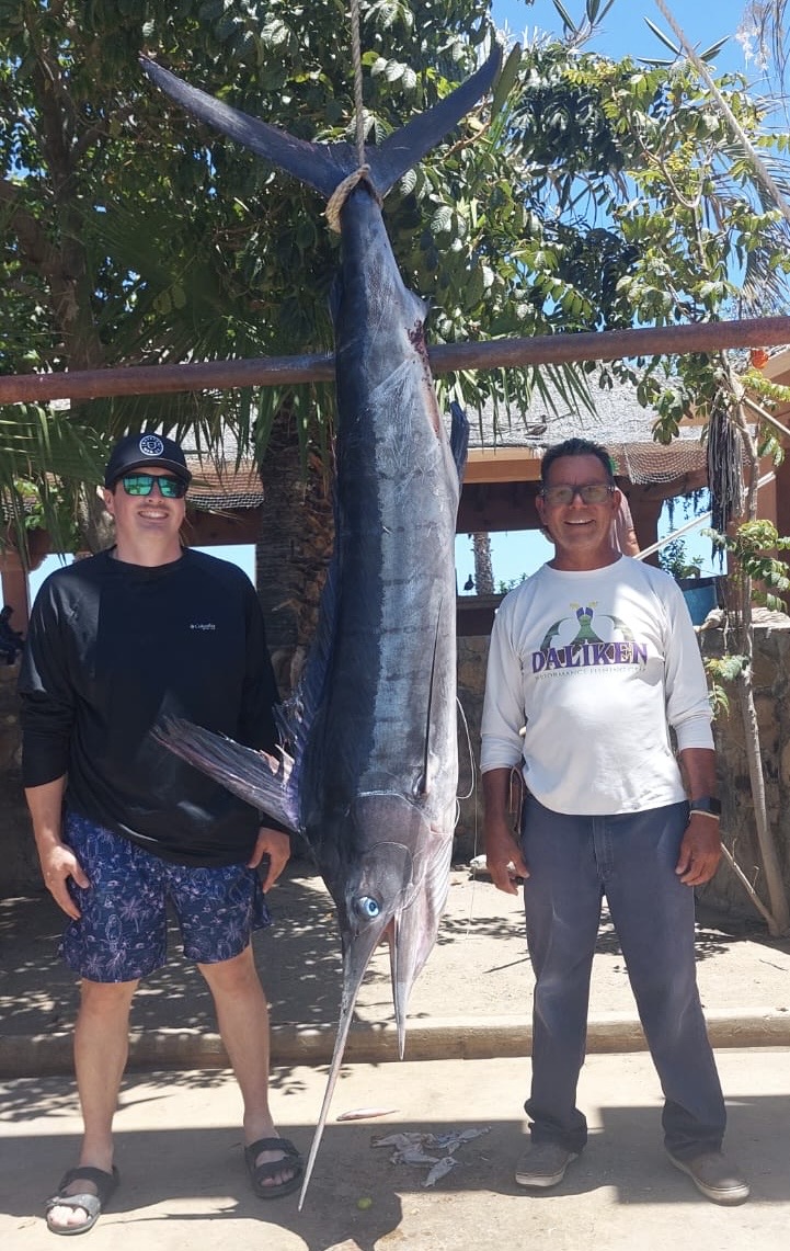 Yellowfin tuna caught off San José del Cabo with Daliken Sportfishing private charter