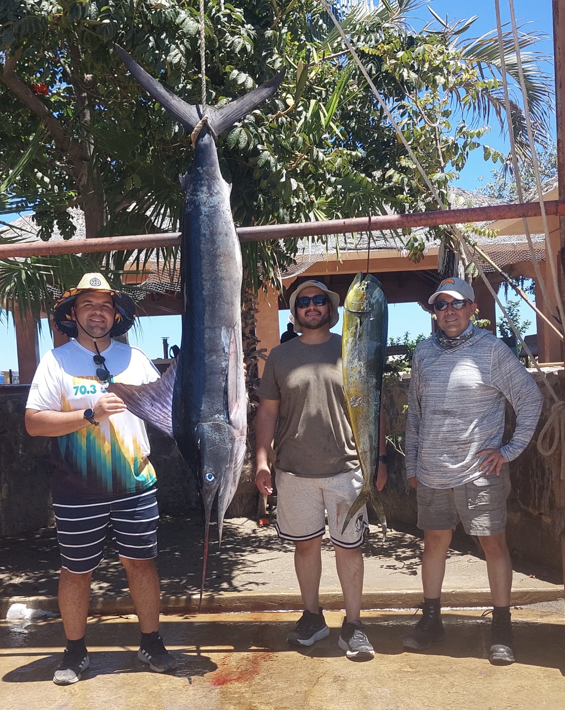 Striped marlin caught aboard Daliken Sportfishing private charter off Gordo Banks, San José del Cabo April 2026