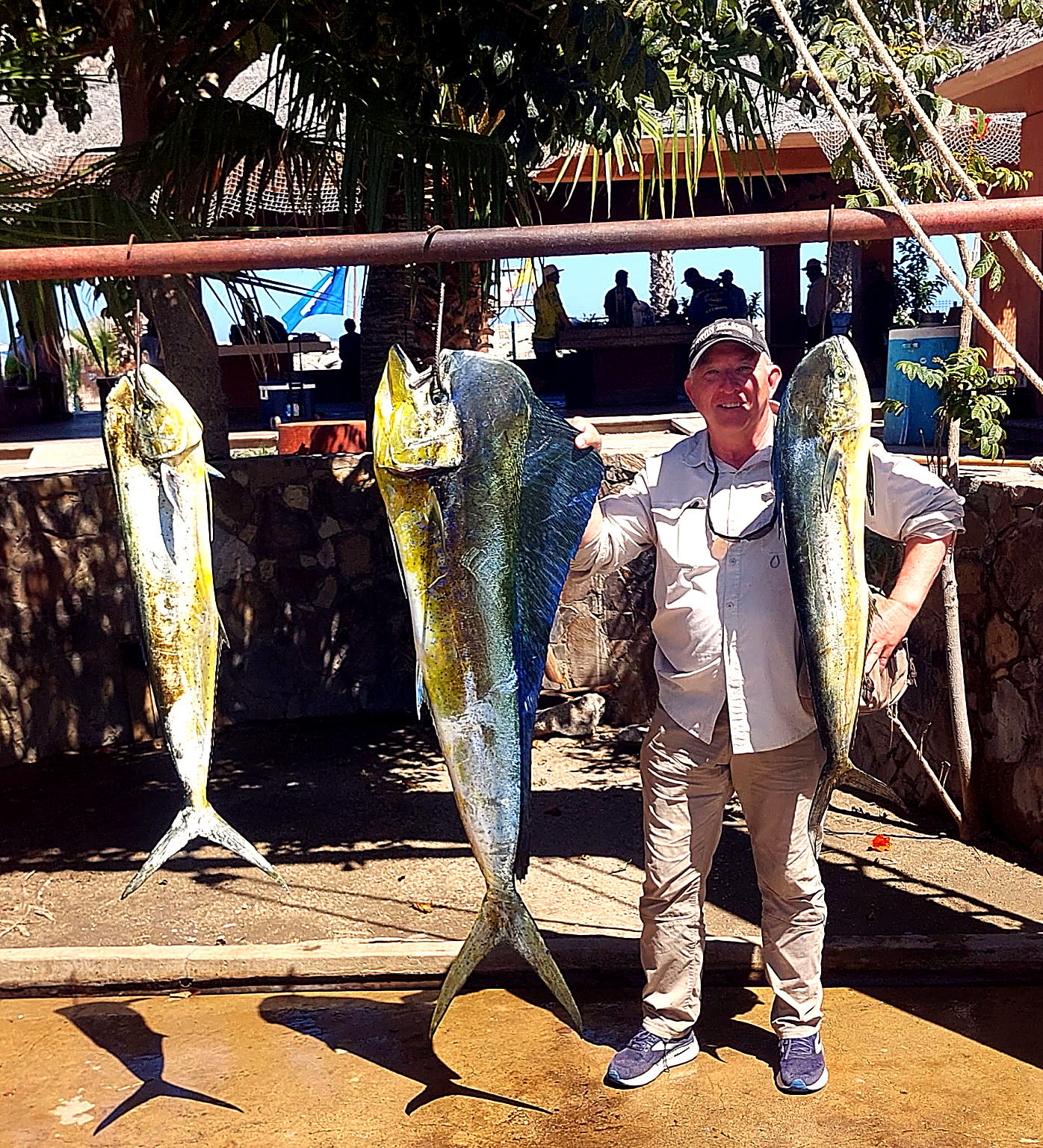 Daliken Sportfishing offshore tuna catch from Iman Bank San José del Cabo