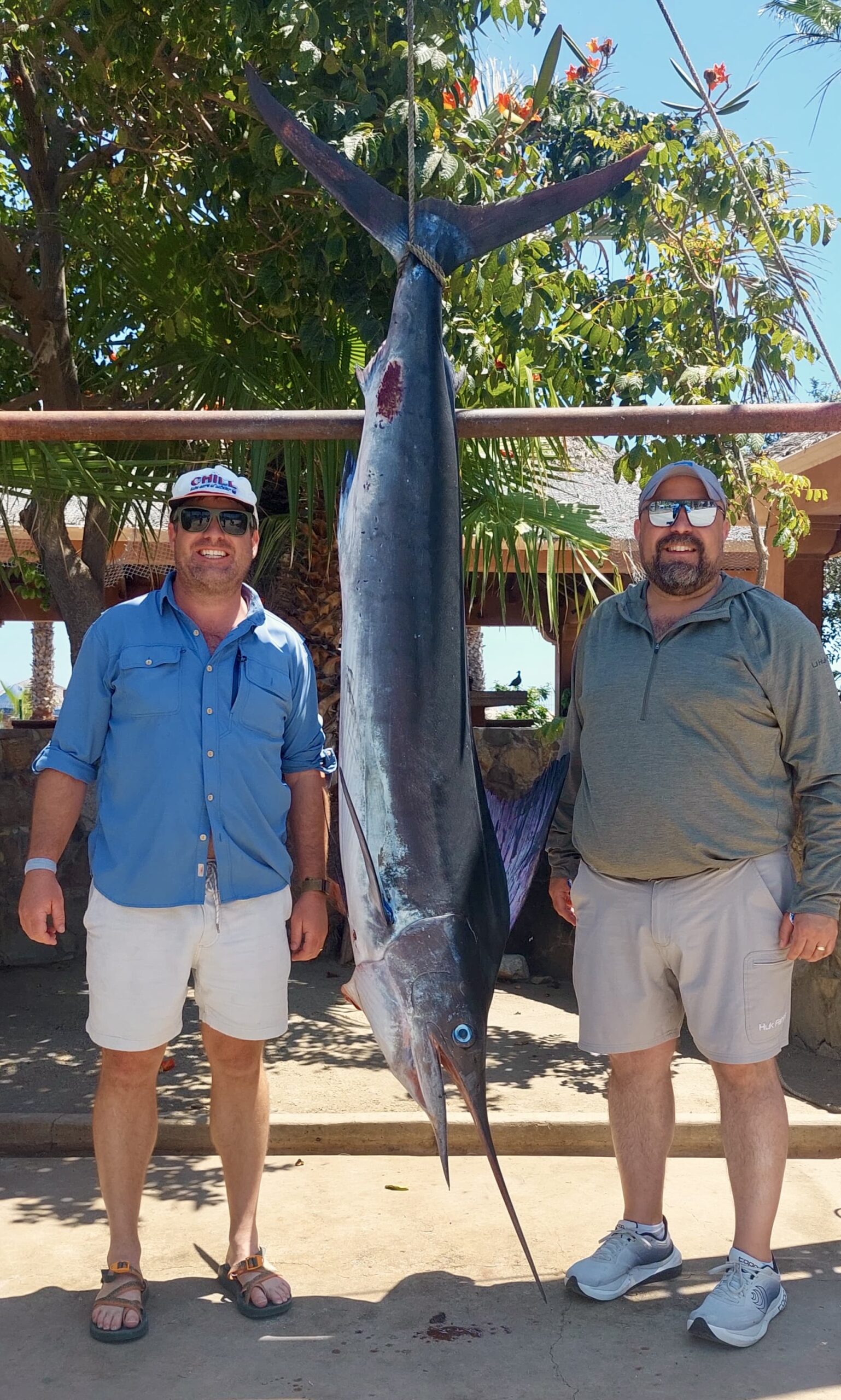 Marlin fishing San Jose del Cabo - private charter action
