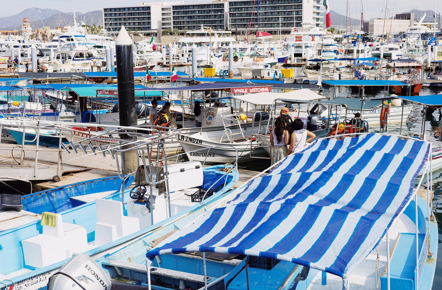 Cabo San Lucas Marina with Mexican flag and yachts