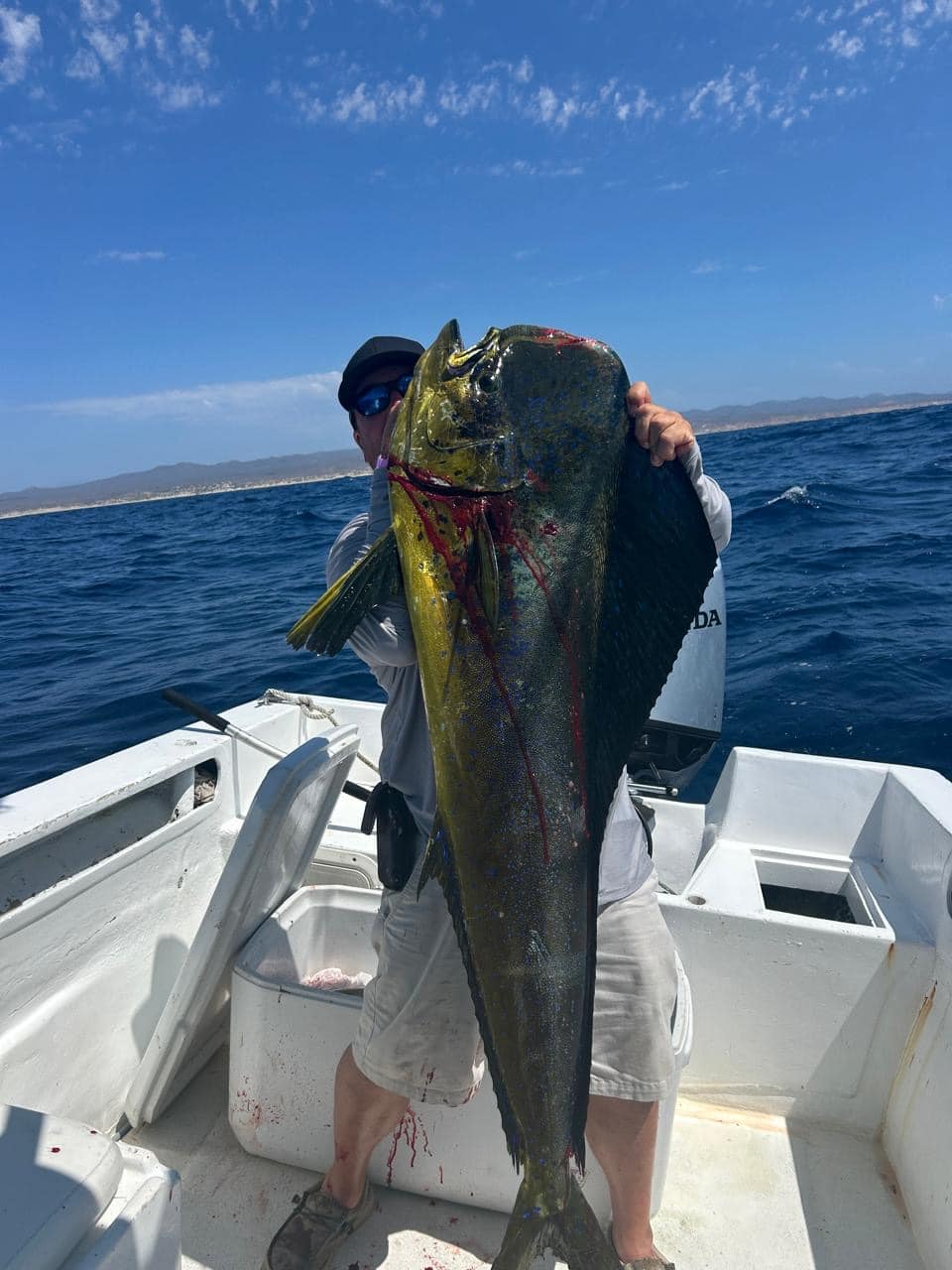 Los Cabos daily fishing report May 28 2026 Daliken Sportfishing Sea of Cortez charter