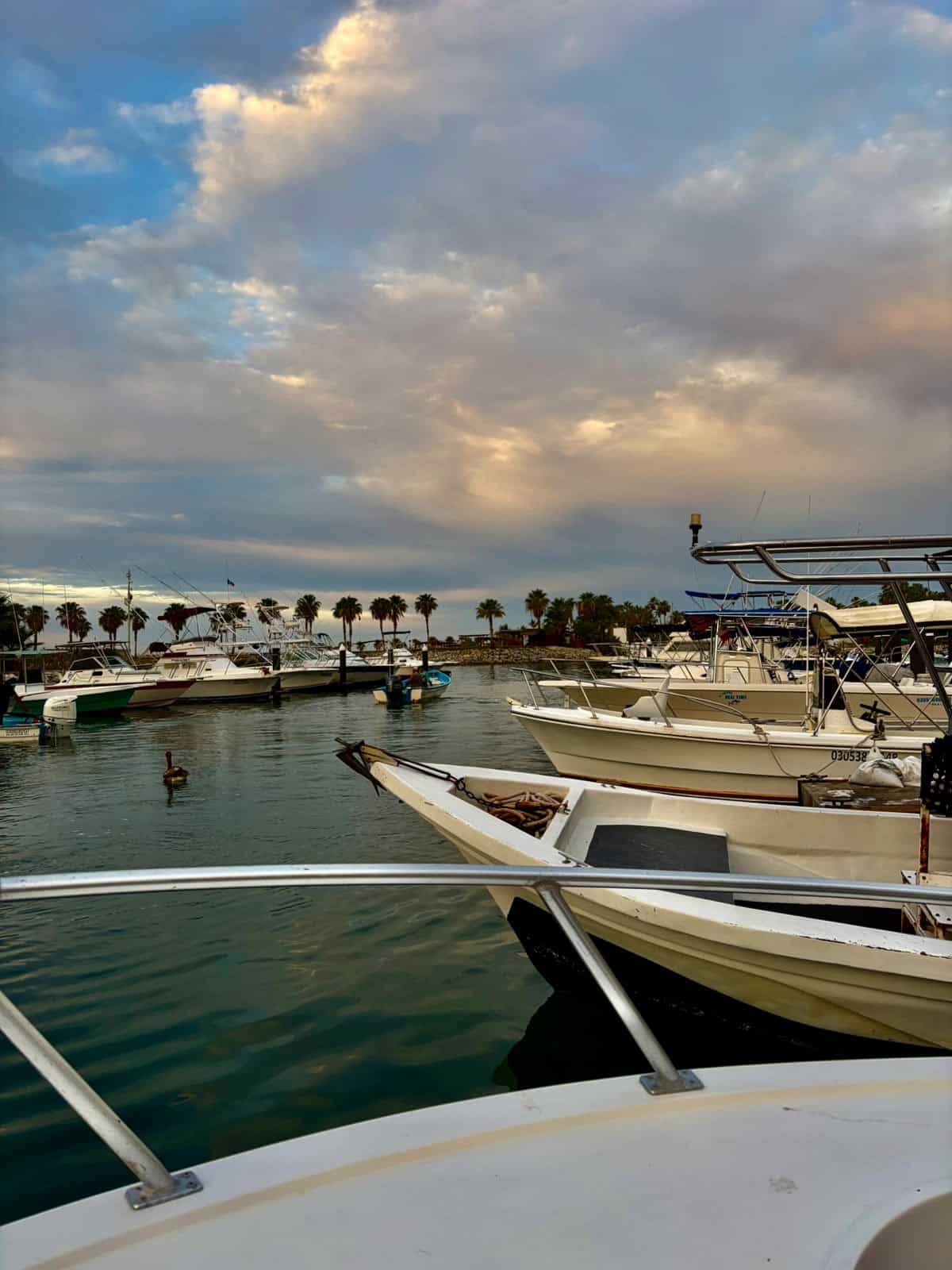 Puerto Los Cabos Marina at sunrise - Daliken Sportfishing departure point in San Jose del Cabo