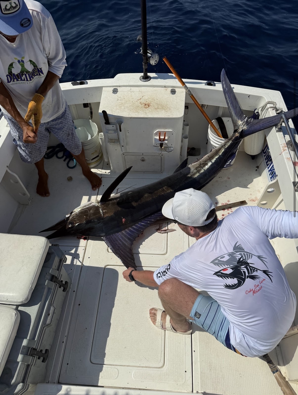 Daliken Sportfishing charter Tuesday May 19 2026 Los Cabos San Jose del Cabo fishing photo