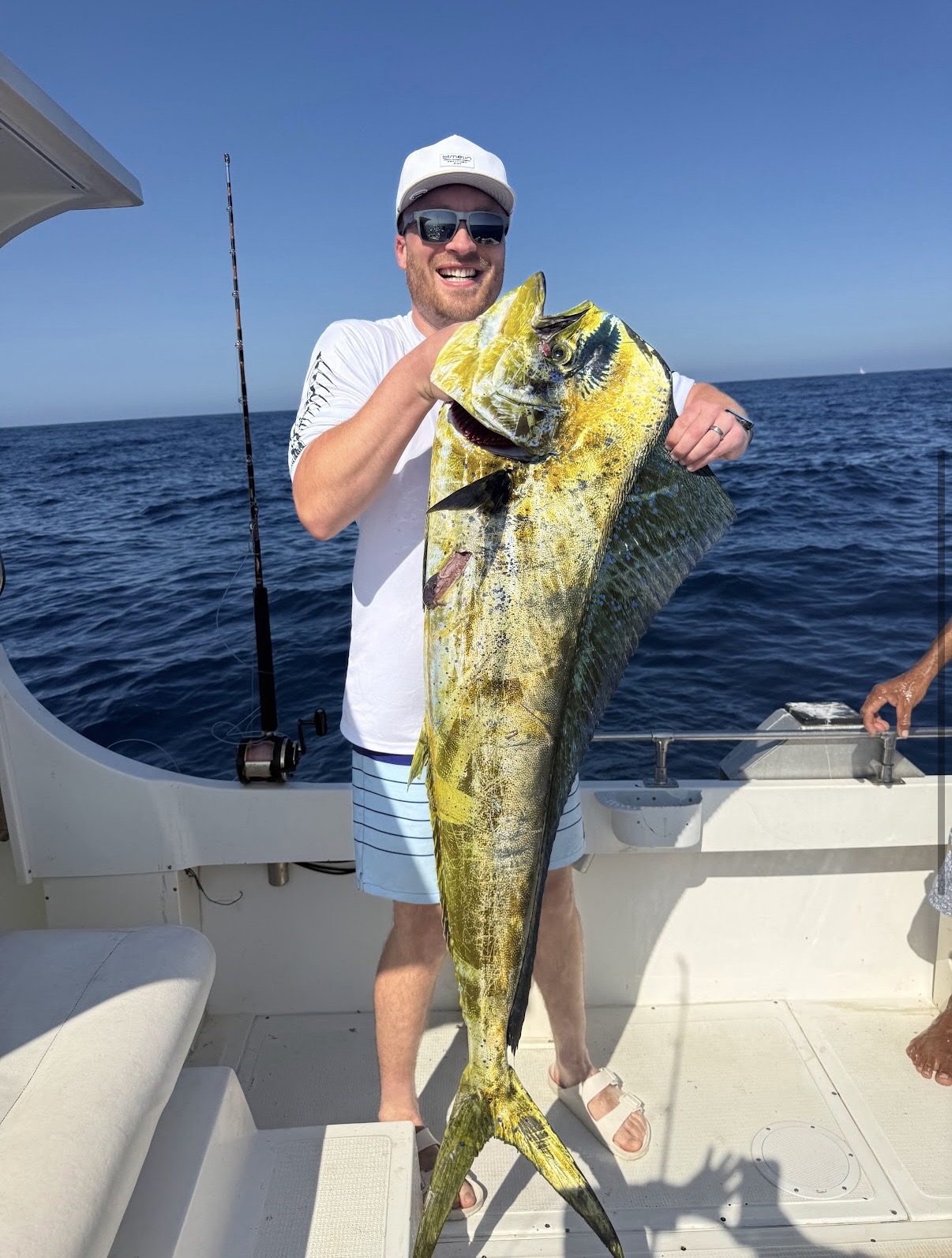 Pacific dorado Coryphaena hippurus mahi mahi landed at Puerto Los Cabos Marina with Daliken Sportfishing