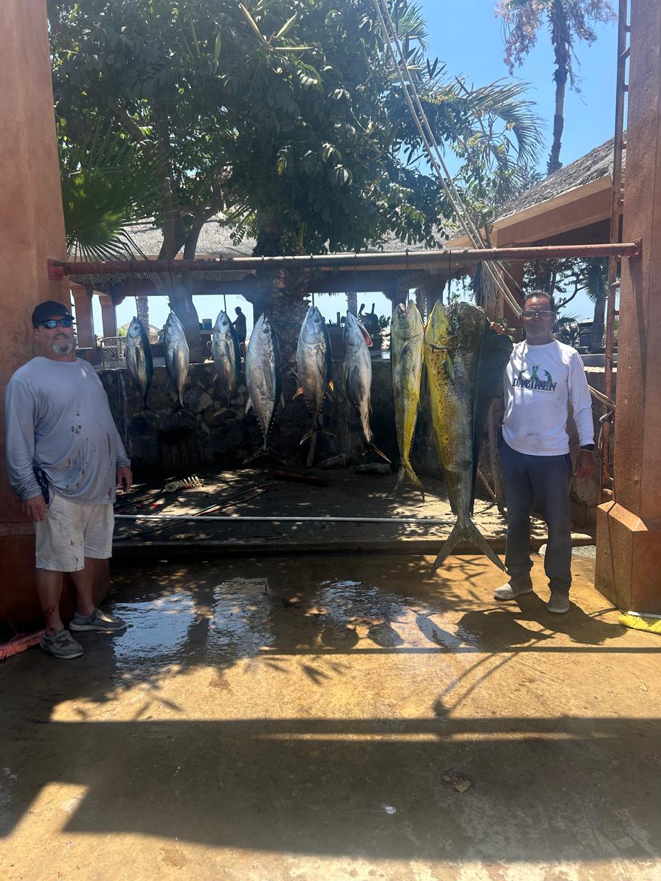 Daliken Sportfishing charter Monday May 25 2026 Los Cabos tuna marlin mahi mahi triple play