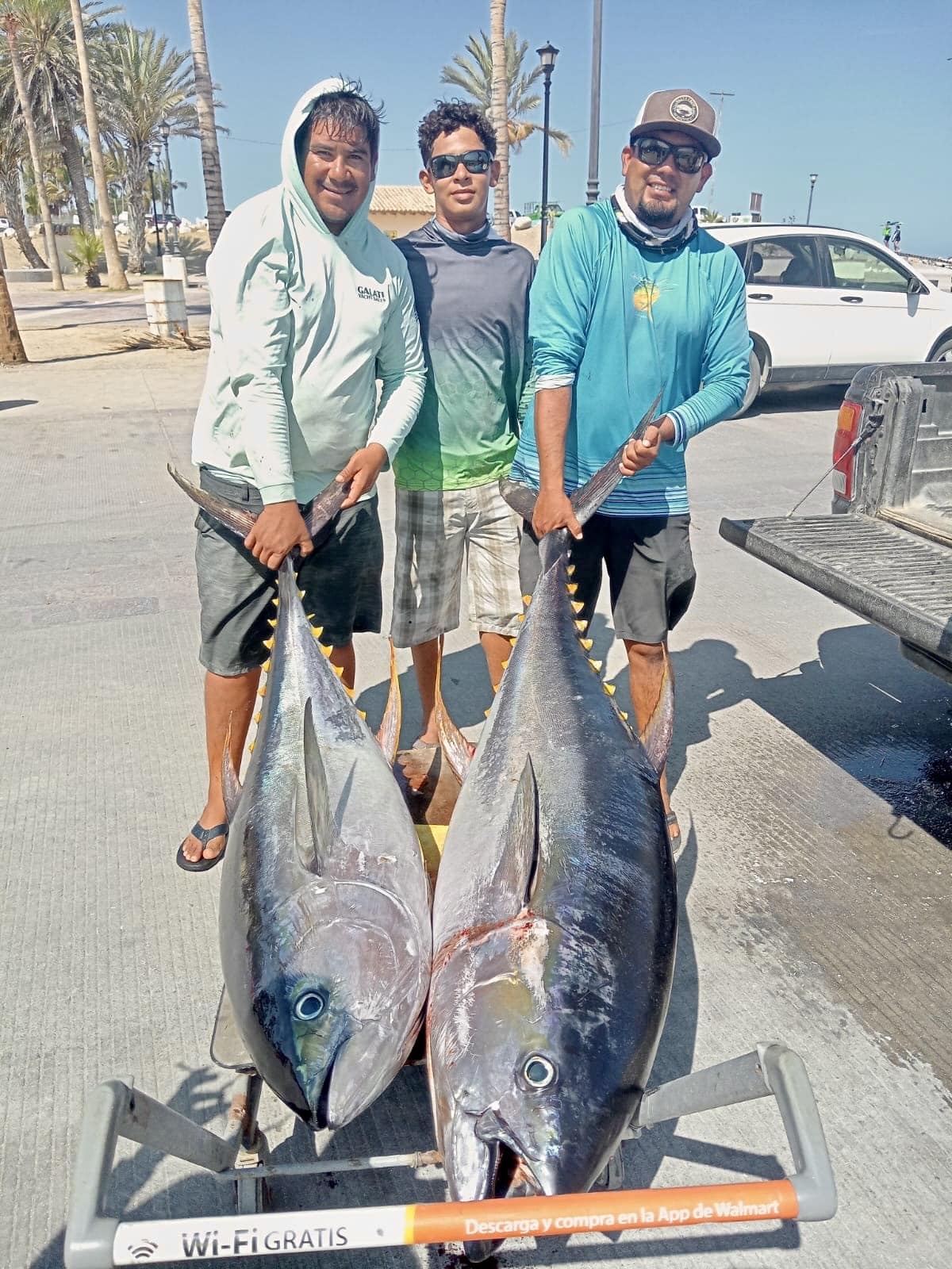 Fresh tuna sashimi on the boat Daliken Sportfishing Los Cabos June 30 2026 tradition