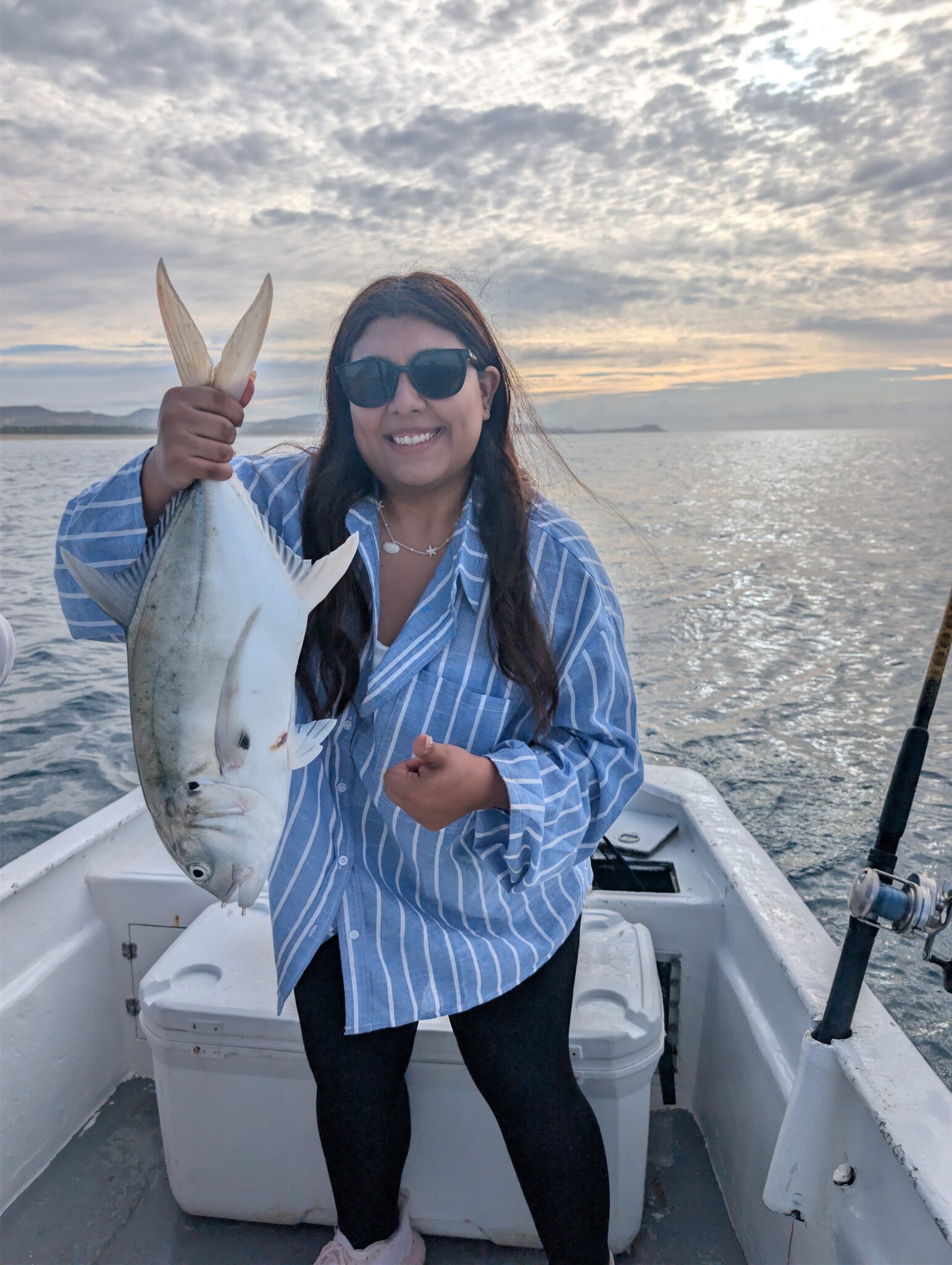 Striped marlin and roosterfish gallo Los Cabos June 1 2026 Daliken Sportfishing Puerto Los Cabos Sea of Cortez