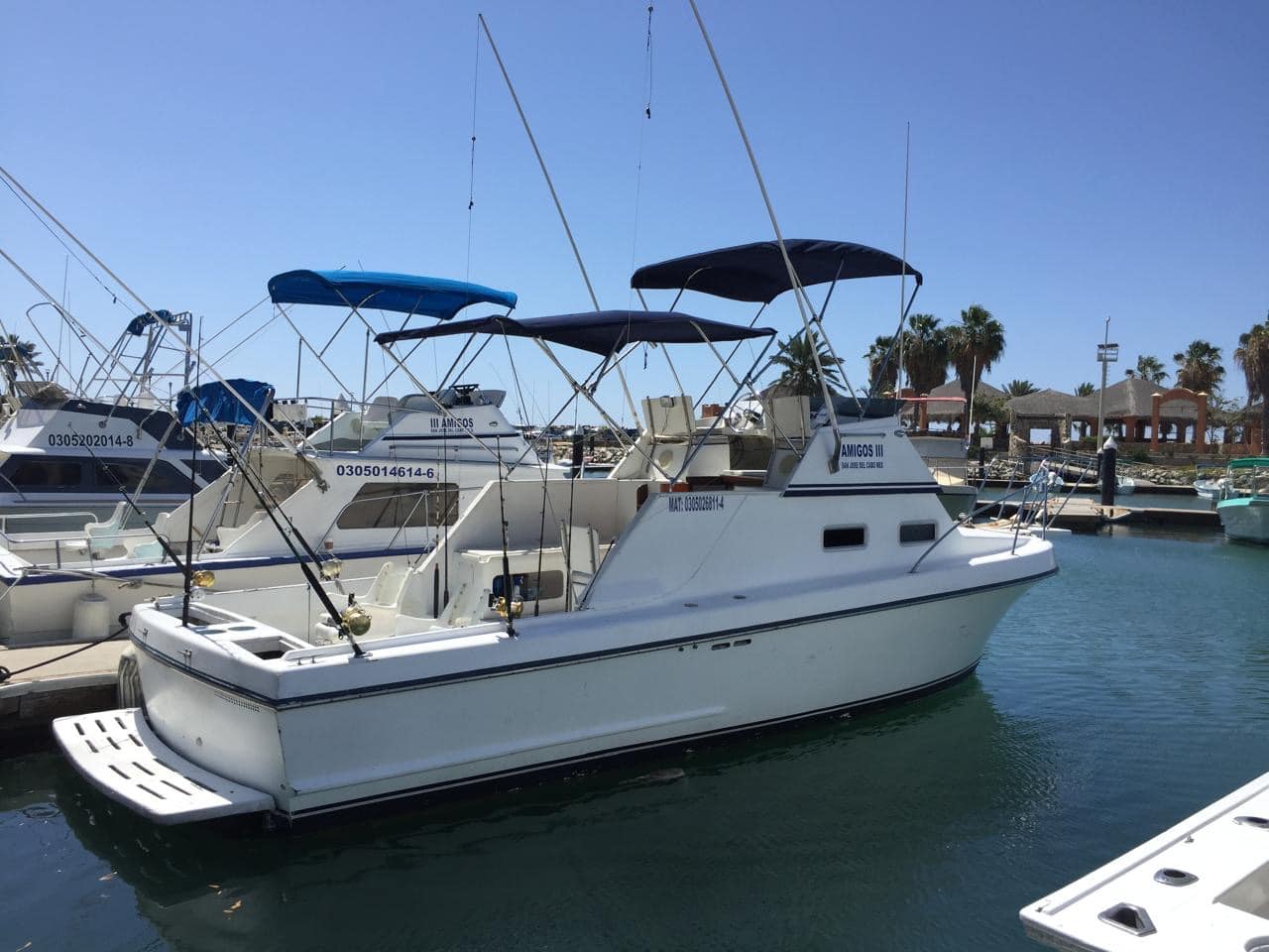 Daliken 31ft private fishing charter San Jose del Cabo
