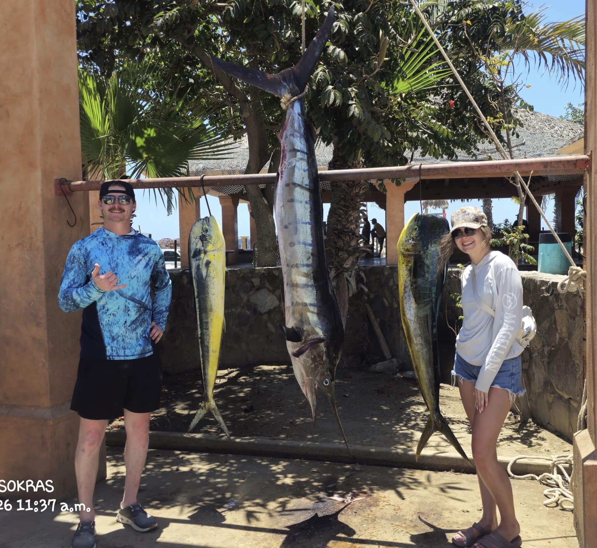 Big roosterfish San Jose del Cabo June 22 2026 Daliken Sportfishing light tackle fishing charter
