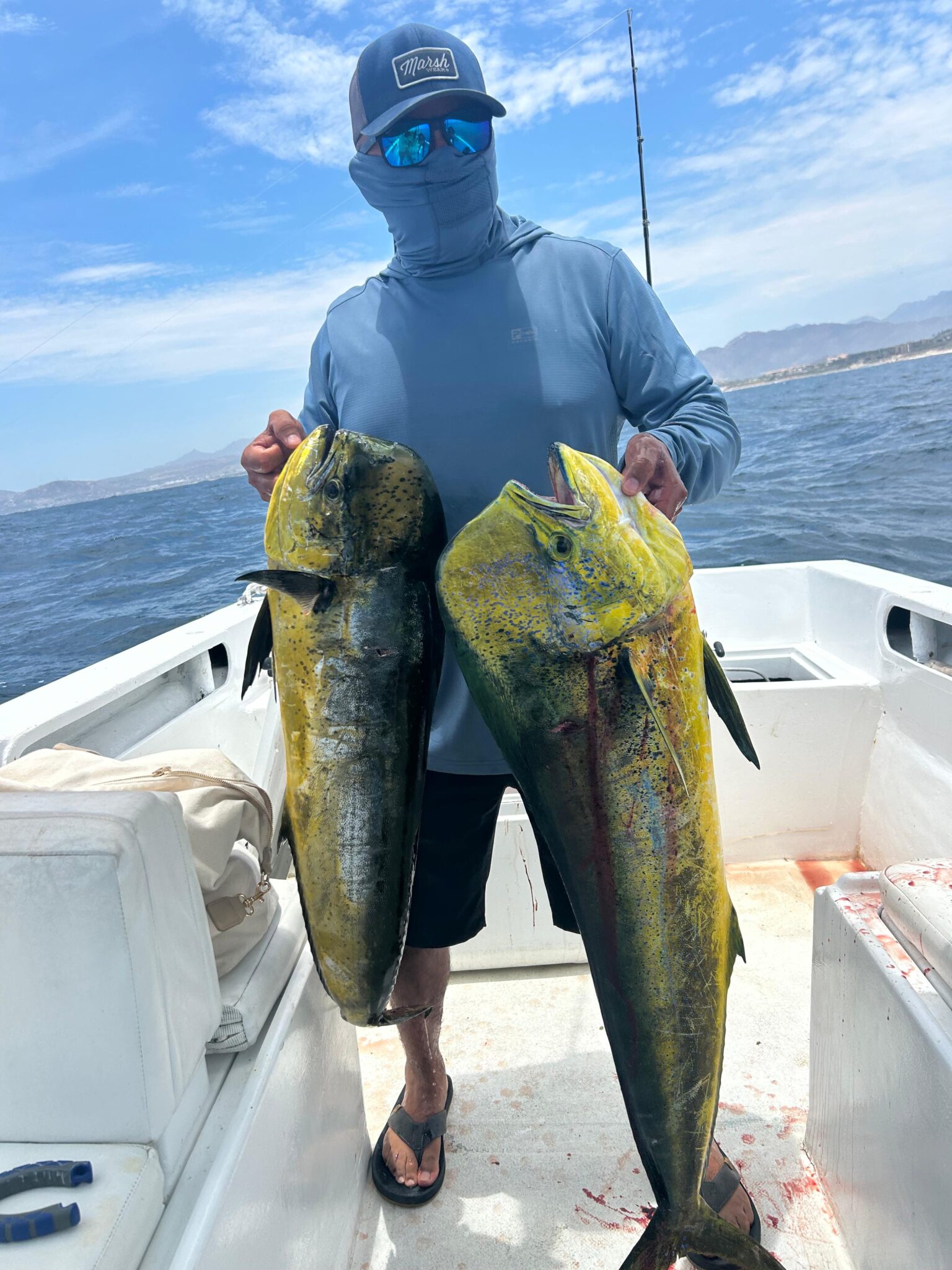 Dorado mahi mahi caught deep sea fishing in Cabo with Daliken Sportfishing