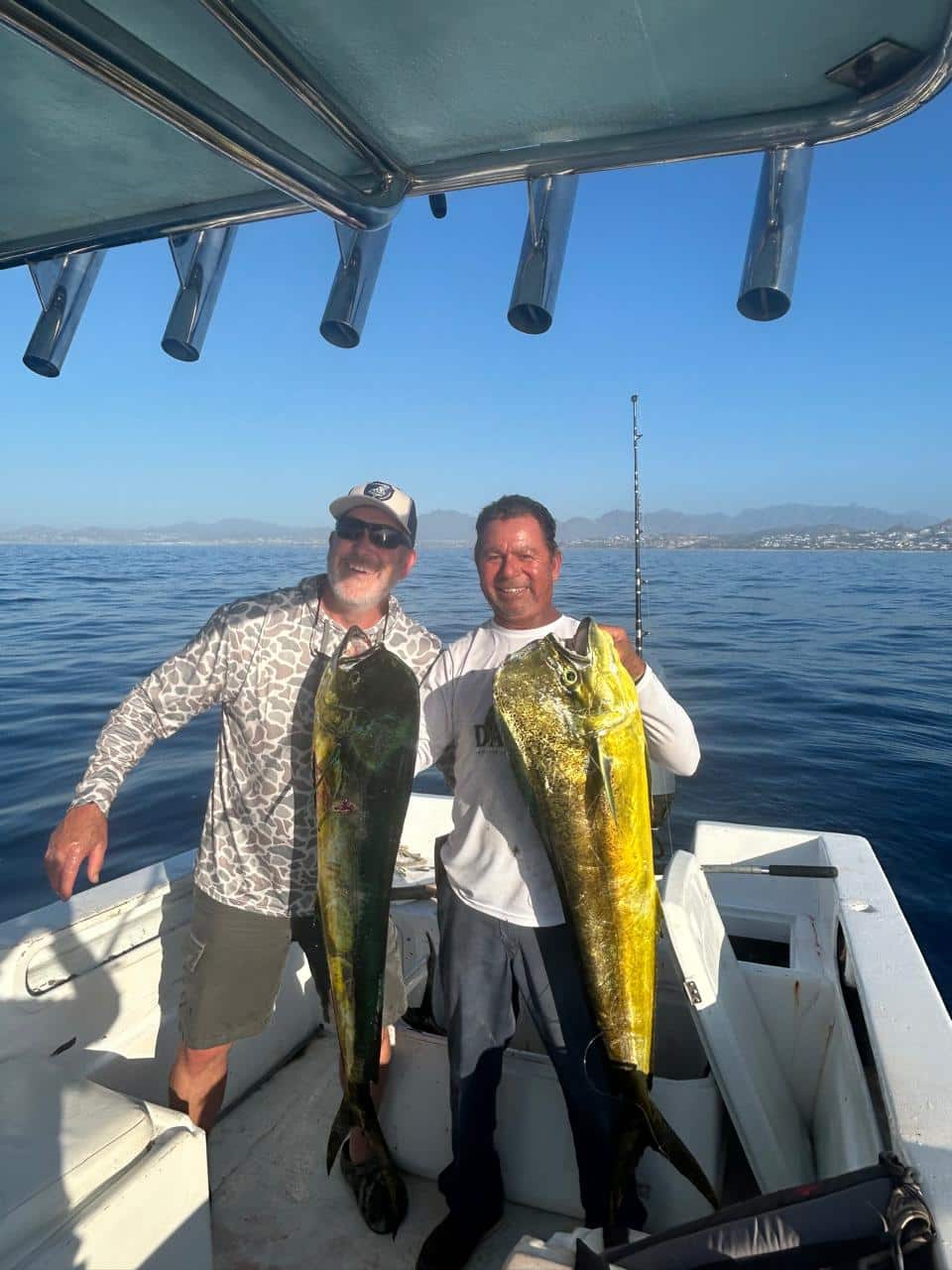 Mahi mahi dorado catch Los Cabos June 3 2026 Daliken Sportfishing La Fortuna offshore current edge