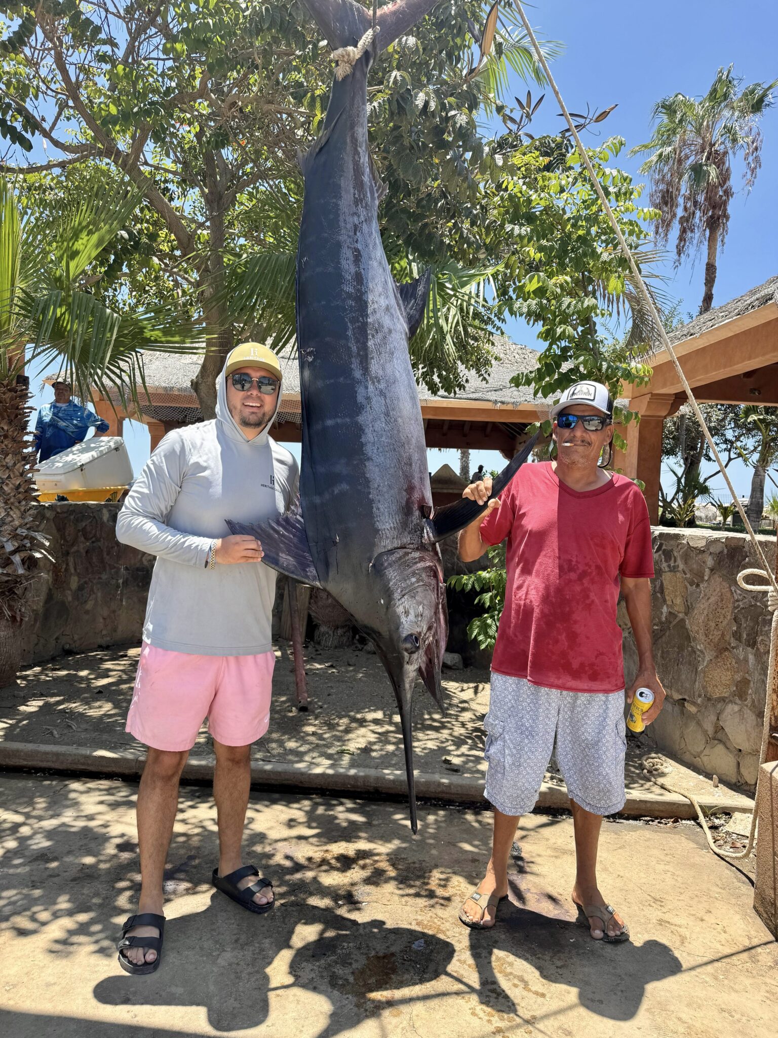 Sailfish Los Cabos July 12 2026 Daliken Sportfishing San Jose del Cabo billfish release