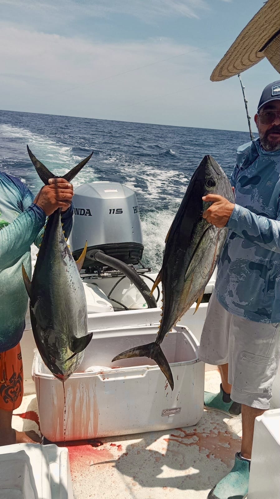 Yellowfin tuna catch Los Cabos August 9 2026 Daliken Sportfishing San Luis Bank Puerto Los Cabos