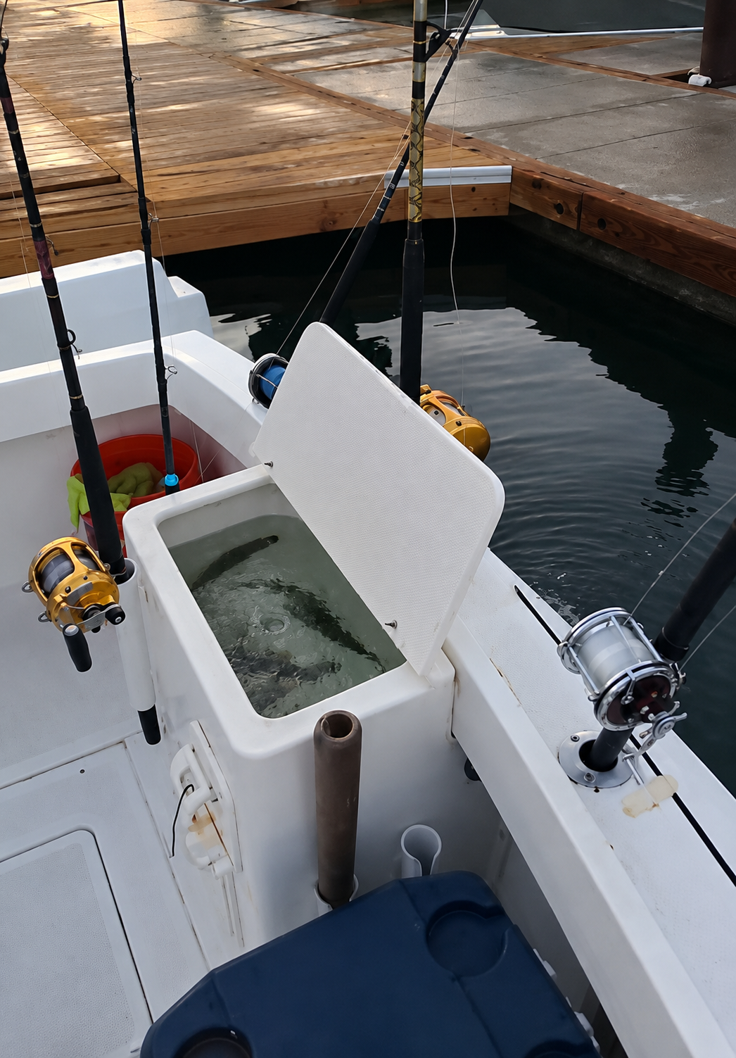 Daliken Habanero 28ft private fishing trip in Los Cabos